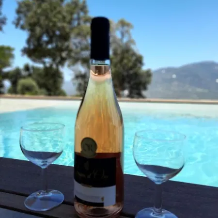 Elora Vue Et Piscine Viggianello