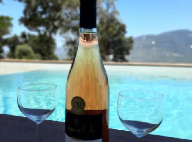 Elora Vue Et Piscine Viggianello