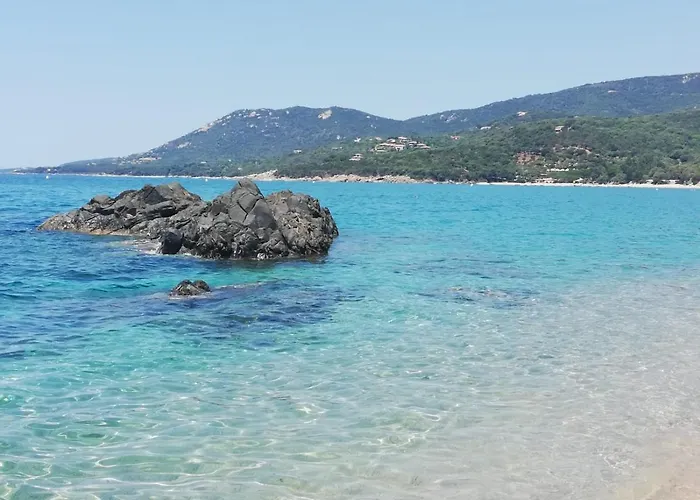 Villa Elora Vue Et Piscine Viggianello